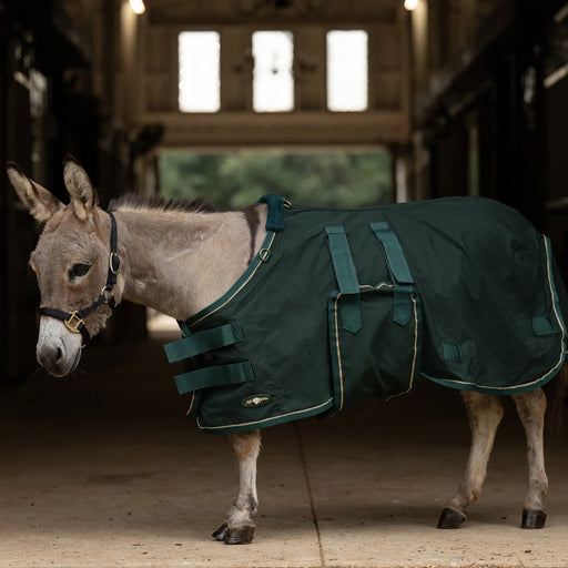 Mini Donkey Stable Day Sheet – Lightweight Poly Cotton Kensington Protective