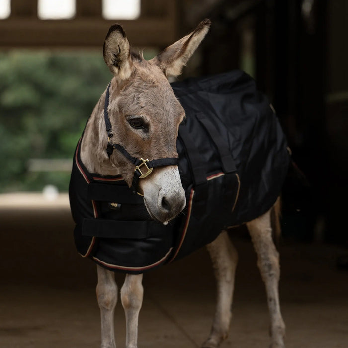 Mini Donkey Stable Day Sheet – Lightweight Poly Cotton Kensington Protective