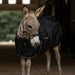 Mini Donkey Stable Day Sheet – Lightweight Poly Cotton Kensington Protective