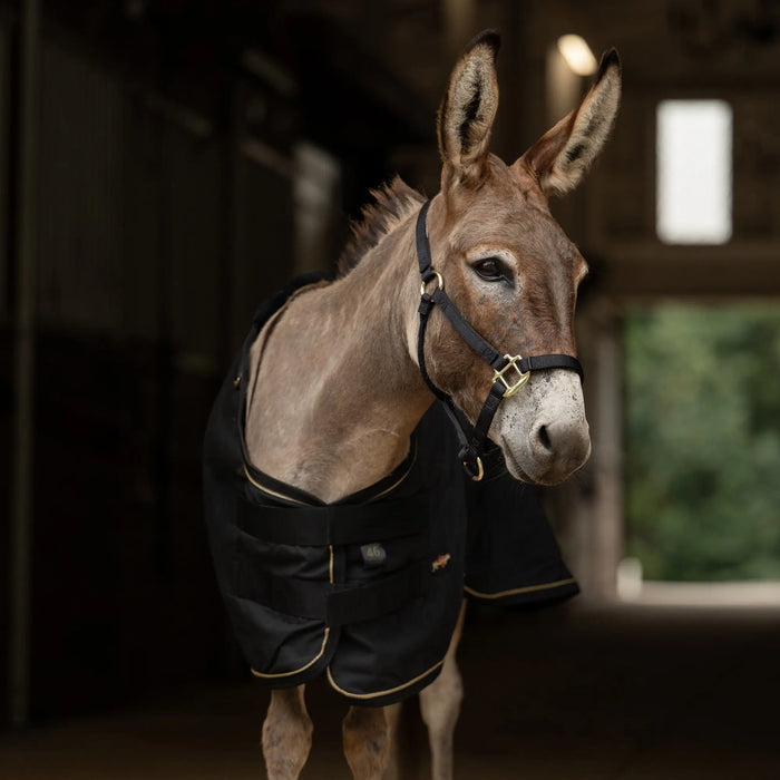 Mini Donkey Stable Day Sheet – Lightweight Poly Cotton Kensington Protective