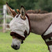 Mini Donkey Fly Mask with Fleece Trim - 73% UV Blocking Kensington Protective Products