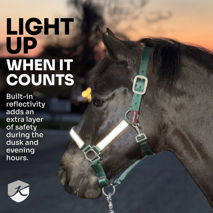 Reflective Breakaway Nylon Halter with Textliene Kensington Protective Products