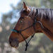 Clinician Training Rope Halter with Braided Nose Kensington Protective Products