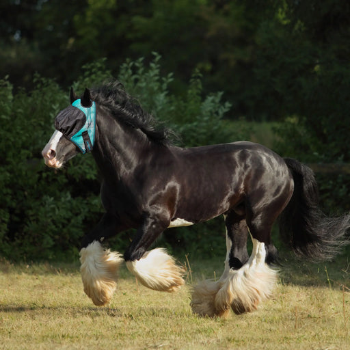 UViator Dartless Draft Horse Equine Fly Mask with 90% UV Protection Kensington Protective Products