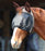 Kensington Dartless Fly Mask with Ears - 500 Desert Sand Brown Tan 