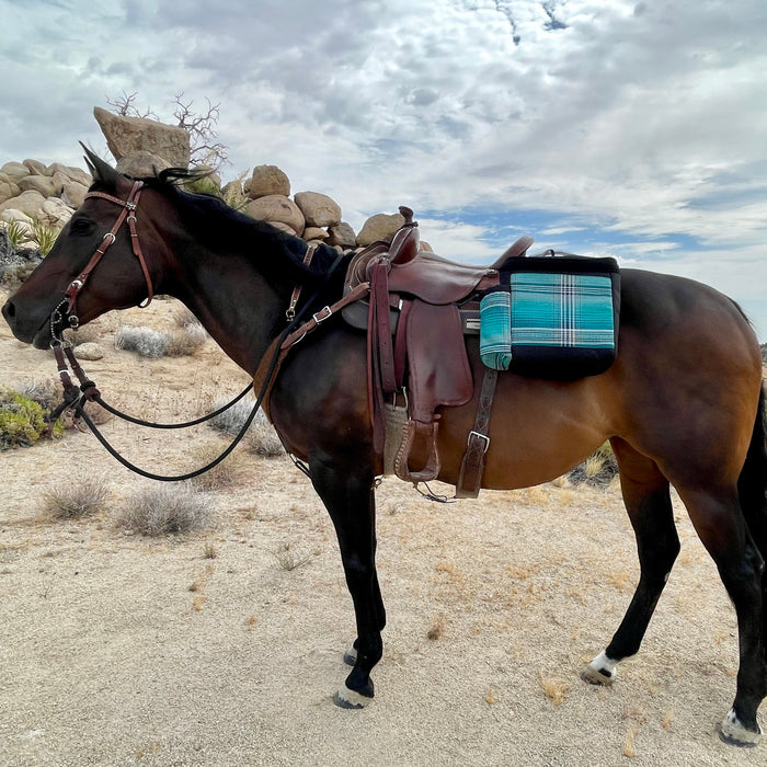 Insulated Western Trail Bag