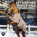 Supermesh® Winter Turnout Blanket - Supremely Durable, Waterproof & Breathable Kensington Protective Products
