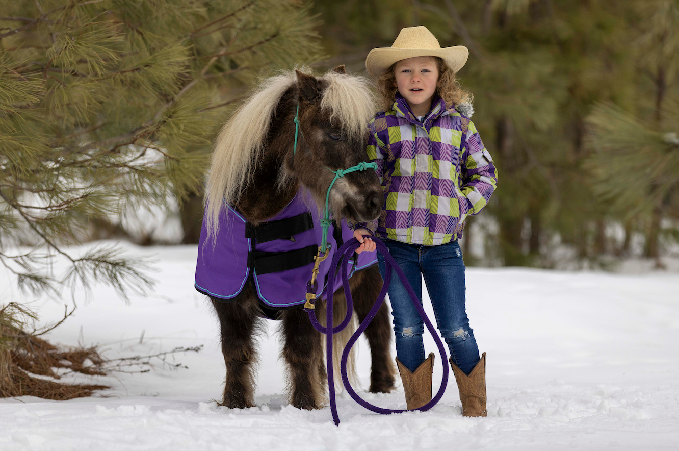 Kensington Protective Products Horse Accessories, Equine Protection