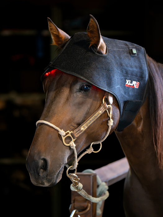 Redline Poll/Neck Wrap