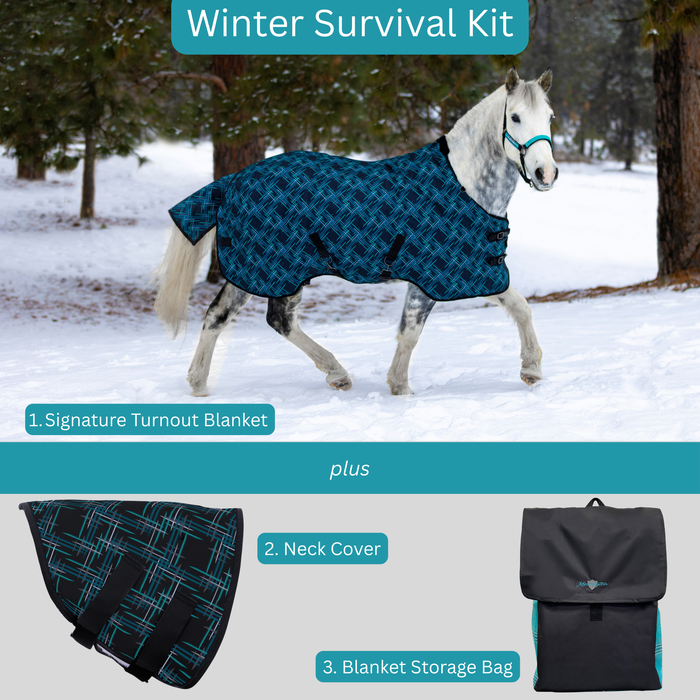 Bundle: Light-Weight 80g Winter Horse Turnout Blanket, Neck Warmer & Blanket Storage Bag (Copy) (Copy)