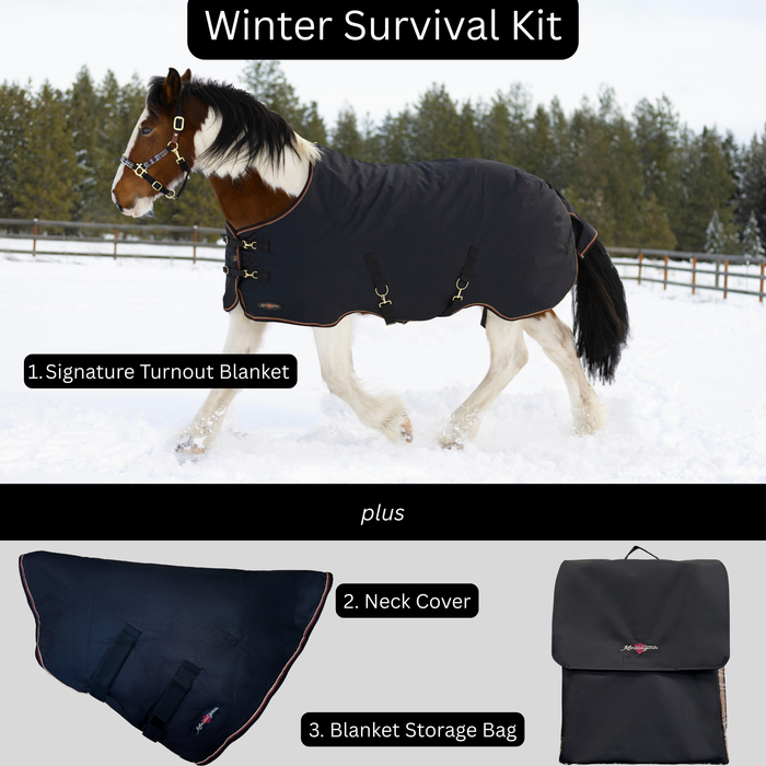 Bundle: Light-Weight 80g Winter Horse Turnout Blanket, Neck Warmer & Blanket Storage Bag (Copy) (Copy)