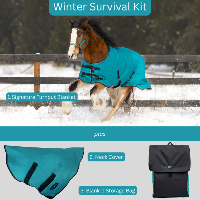 Bundle: Light-Weight 80g Winter Horse Turnout Blanket, Neck Warmer & Blanket Storage Bag (Copy) (Copy)