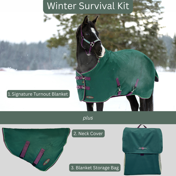 Bundle: Light-Weight 80g Winter Horse Turnout Blanket, Neck Warmer & Blanket Storage Bag (Copy) (Copy)