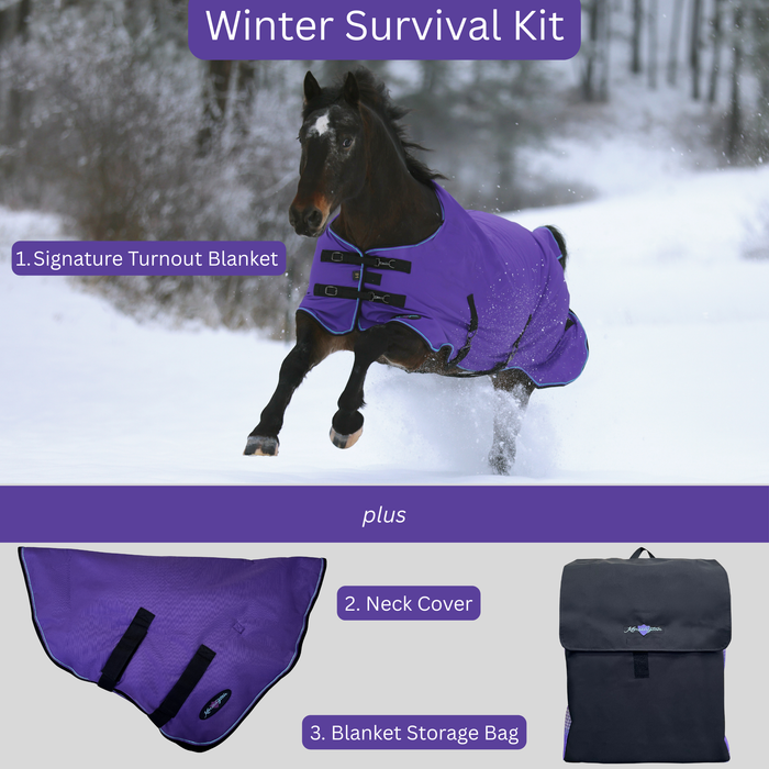 Bundle: Light-Weight 80g Winter Horse Turnout Blanket, Neck Warmer & Blanket Storage Bag (Copy) (Copy)