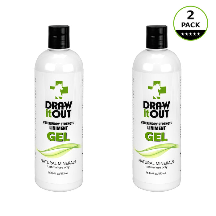 Draw It Out® 16oz Horse Liniment Gel | Daily Care