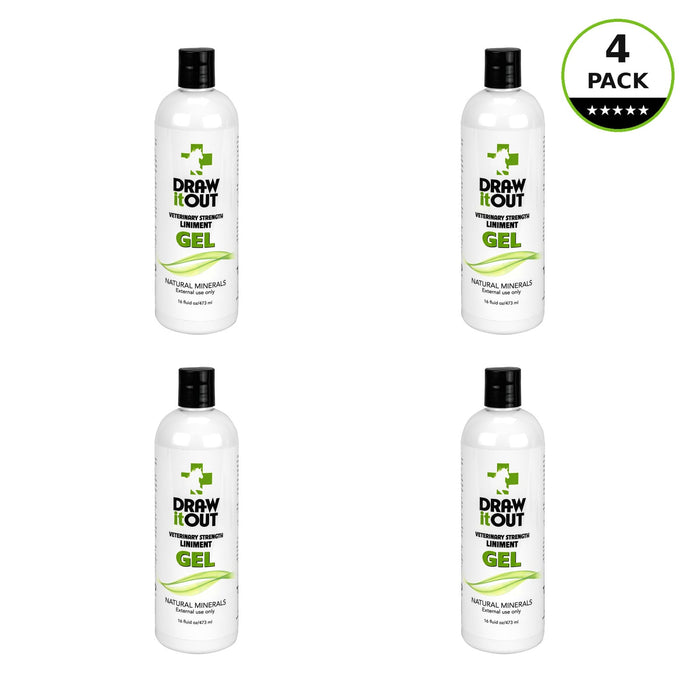 Draw It Out® 16oz Horse Liniment Gel | Daily Care