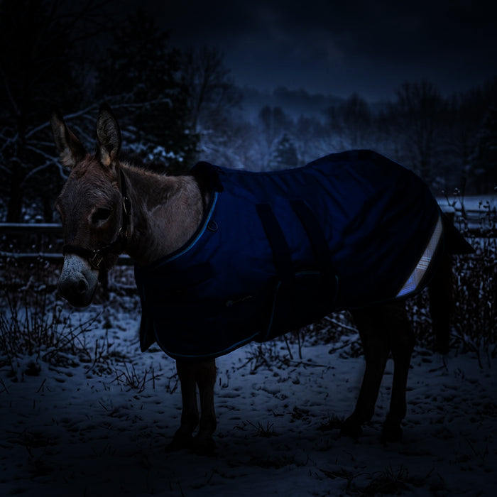 KPP-DROPBOX-5SCR-MINI-DONKEY-2026-10|5SCR080|5SCR180-Mini-Donkey.A1.jpg|bc3af3200a51