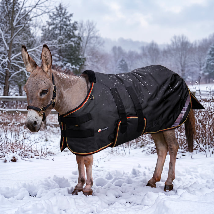 KPP-DROPBOX-5SCR-MINI-DONKEY-2026-10|5SCR300|5SCR300-Mini-Donkey-F.BG.jpg|c79186d687ea