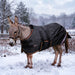 KPP-DROPBOX-5SCR-MINI-DONKEY-2026-10|5SCR300|5SCR300-Mini-Donkey-F.BG.jpg|c79186d687ea
