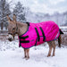 KPP-DROPBOX-5SCR-MINI-DONKEY-2026-10|5SCR300|5SCR300-Mini-Donkey-EB.BG.jpg|65cbfeb39995