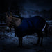 KPP-DROPBOX-5SCR-MINI-DONKEY-2026-10|5SCR180|5SCR180-Mini-Donkey.A1.jpg|bc3af3200a51