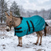 KPP-DROPBOX-5SCR-MINI-DONKEY-2026-10|5SCR080|5SCR180-Mini-Donkey-H.BG.jpg|e9064be36475