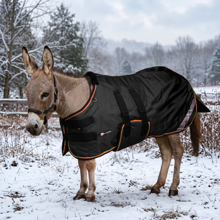 KPP-DROPBOX-5SCR-MINI-DONKEY-2026-10|5SCR080|5SCR180-Mini-Donkey-F.BG.jpg|ed728ce75d91