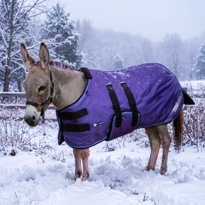 KPP-DROPBOX-5SCR-MINI-DONKEY-2026-10|5SCR300|5SCR300-Mini-Donkey-P.BG.jpg|1afe6852fce3