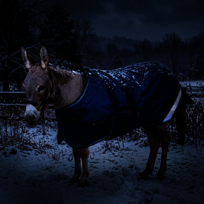 KPP-DROPBOX-5SCR-MINI-DONKEY-2026-10|5SCR300|5SCR300-Mini-Donkey.A1.jpg|ac21aa112ab1