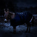 KPP-DROPBOX-5SCR-MINI-DONKEY-2026-10|5SCR300|5SCR300-Mini-Donkey.A1.jpg|ac21aa112ab1
