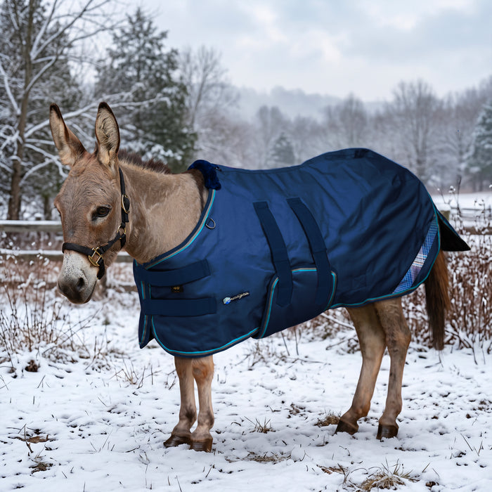 KPP-DROPBOX-5SCR-MINI-DONKEY-2026-10|5SCR180|5SCR180-Mini-Donkey-B.BG.jpg|c40d56124c2b