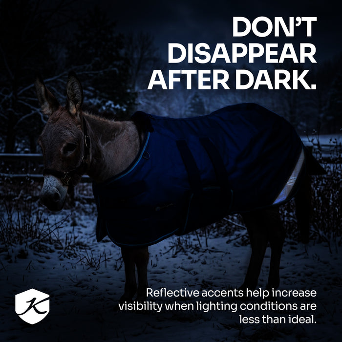 KPP-DROPBOX-5SCR-MINI-DONKEY-2026-10|5SCR080|5SCR180-Mini-Donkey.B2.jpg|d0079e7c5b22