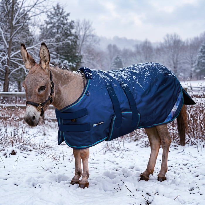 KPP-DROPBOX-5SCR-MINI-DONKEY-2026-10|5SCR300|5SCR300-Mini-Donkey-B.BG.jpg|987ae3a3ecf4