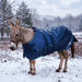 KPP-DROPBOX-5SCR-MINI-DONKEY-2026-10|5SCR300|5SCR300-Mini-Donkey-B.BG.jpg|987ae3a3ecf4