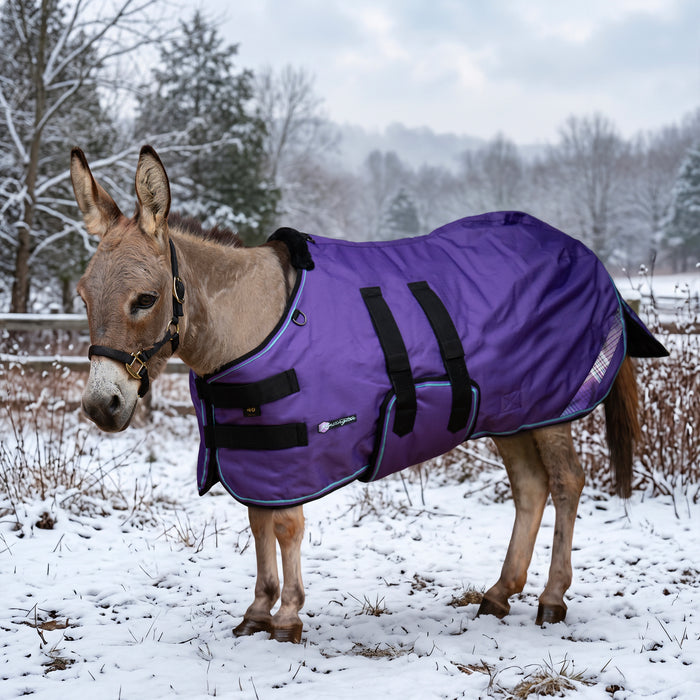 KPP-DROPBOX-5SCR-MINI-DONKEY-2026-10|5SCR080|5SCR180-Mini-Donkey-P.BG.jpg|6468cb68bcb7