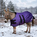 KPP-DROPBOX-5SCR-MINI-DONKEY-2026-10|5SCR180|5SCR180-Mini-Donkey-P.BG.jpg|6468cb68bcb7
