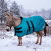 KPP-DROPBOX-5SCR-MINI-DONKEY-2026-10|5SCR300|5SCR300-Mini-Donkey-H.BG.jpg|faa0be0fbdbd