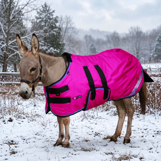 KPP-DROPBOX-5SCR-MINI-DONKEY-2026-10|5SCR180|5SCR180-Mini-Donkey-EB.BG.jpg|5de750d67dbb