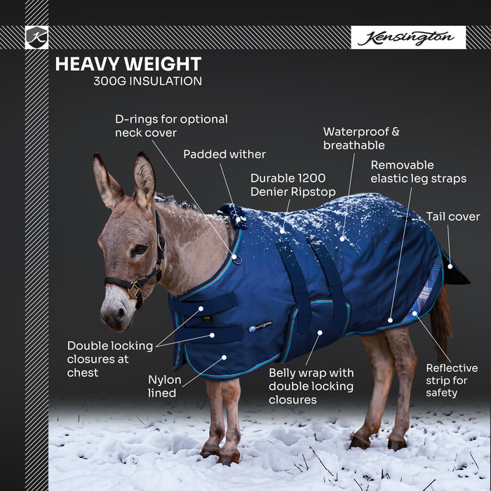 KPP-DROPBOX-5SCR-MINI-DONKEY-2026-10|5SCR300|5SCR300-Mini-Donkey.Info.jpg|3852dbe3e11d
