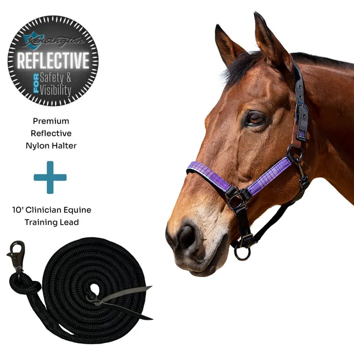 Bundle: Reflective Breakaway Nylon Halter & 10' Clinician Lead Kensington Protective Products