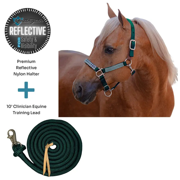 Bundle: Reflective Breakaway Nylon Halter & 10' Clinician Lead Kensington Protective Products
