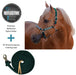 Bundle: Reflective Breakaway Nylon Halter & 10' Clinician Lead Kensington Protective Products
