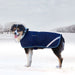 Dog in winter dog coat