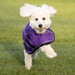 Dog in winter dog coat
