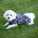 Dog in winter dog coat