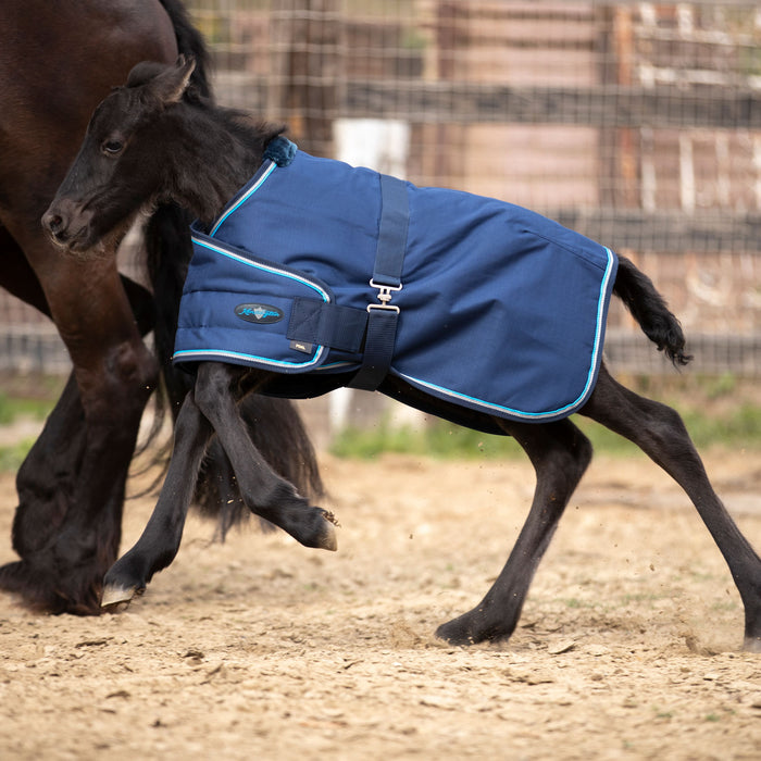 1200Denier Adjustable Foal "180G" Medium Weight Waterproof & Breathable Winter Turnout