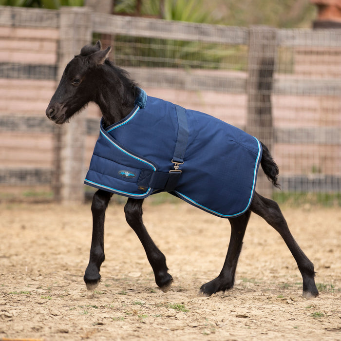 1200Denier Adjustable Foal "180G" Medium Weight Waterproof & Breathable Winter Turnout