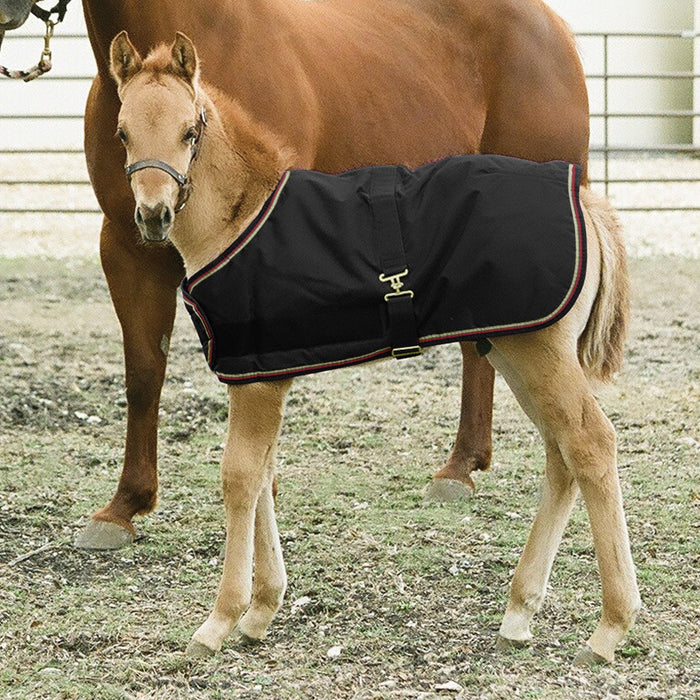 1200Denier Adjustable Foal "180G" Medium Weight Waterproof & Breathable Winter Turnout