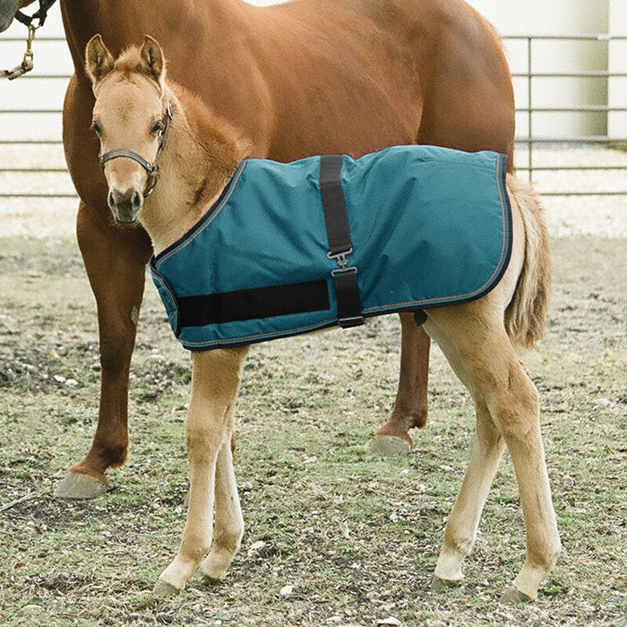 1200Denier Adjustable Foal "180G" Medium Weight Waterproof & Breathable Winter Turnout