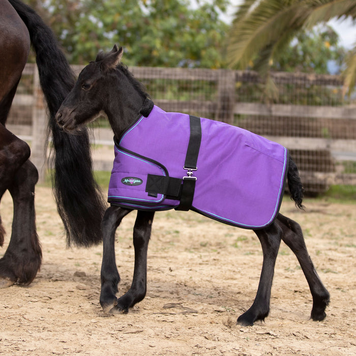 1200Denier Adjustable Foal "180G" Medium Weight Waterproof & Breathable Winter Turnout